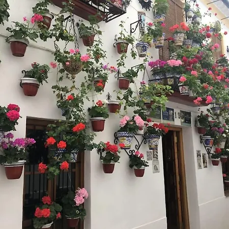 Apartment La Puerta De La Axerquia Parking Y Wifi Gratis