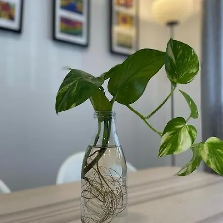 Apartamento La Puerta De La Axerquia Parking Y Wifi Gratis